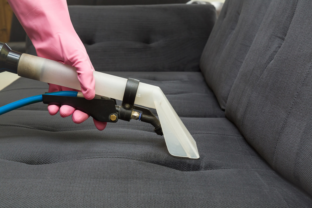Sofa chemical cleaning with professionally extraction method. Upholstered furniture. Early spring cleaning or regular clean up.